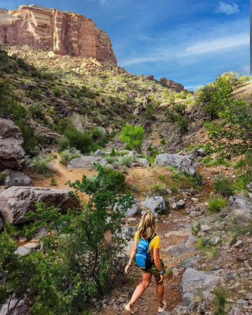 Woman Hiking Along Canyon