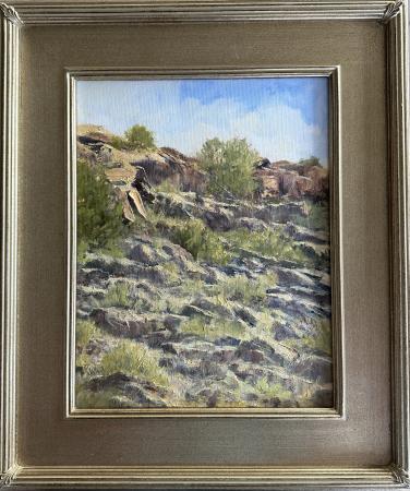 Redlands Hillside by John Edwards