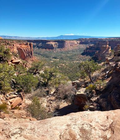 View of Canyon in Colorado National Monument