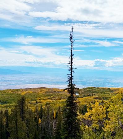View of Fall Colors over the Grand Mesa