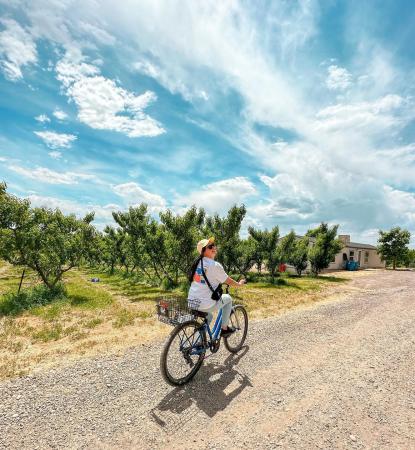 Woman biking near winery in Palisade