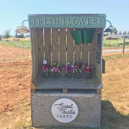Fresh flowers stand on farm