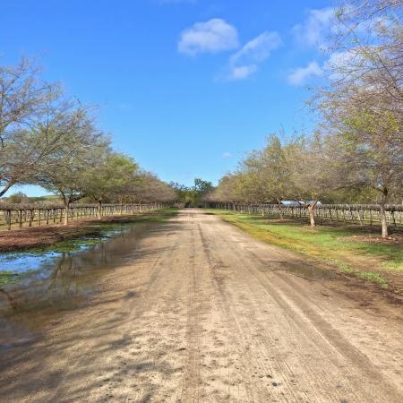 SJRPT Peck Ranch