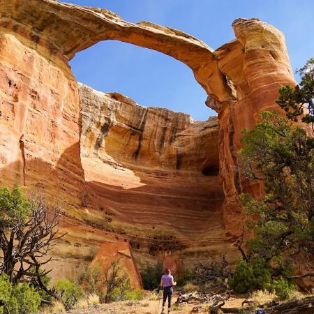 Rattlesnake Arches