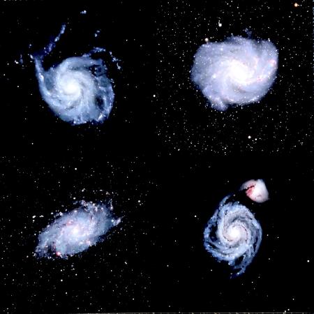 M33, M51, M101 and Firework Galaxies By Steve Kramer & Steven Kramer