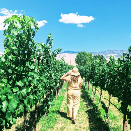 Woman Walking through a Vineyard