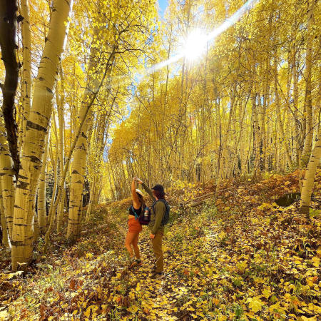 Two People Posing in Aspen Trees on the Grand Mesa