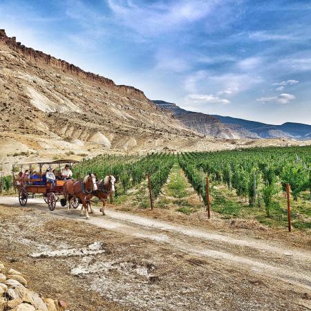 JR's Carriage Service Wine Tour on Horse Drawn Carriage