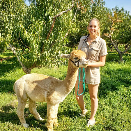 Woman standing with an Alpaca