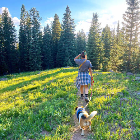 Person walking dog in wildflowers