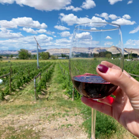 Person Holding a Wineglass in front of Book Cliffs