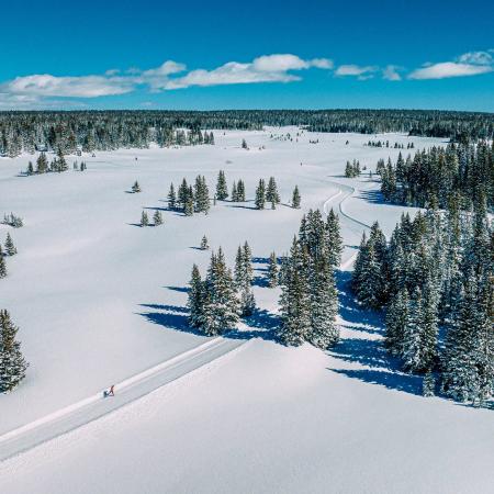 Aerial View of Cross-Country Skier on the Grand Mesa