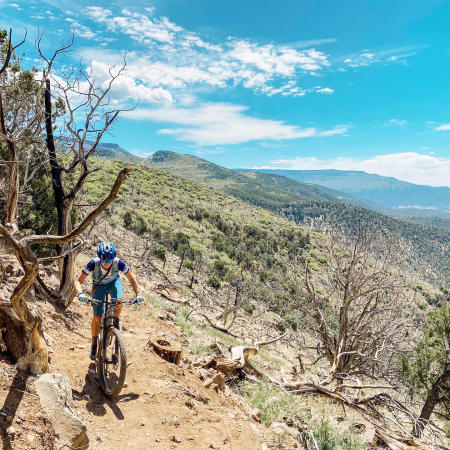 Person Mountain Biking down the Palisade Plunge