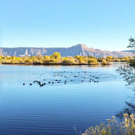 View of Lake with Mount Garfield in the Background