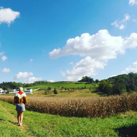 landscape photo of neltners farm in northern kentucky featuring white puffy clouds on a blue sky and a person overlooking a field of corn