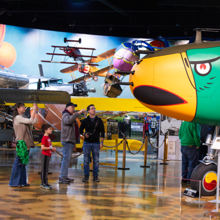 Air Zoo