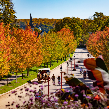 Mackinac Island Tourism