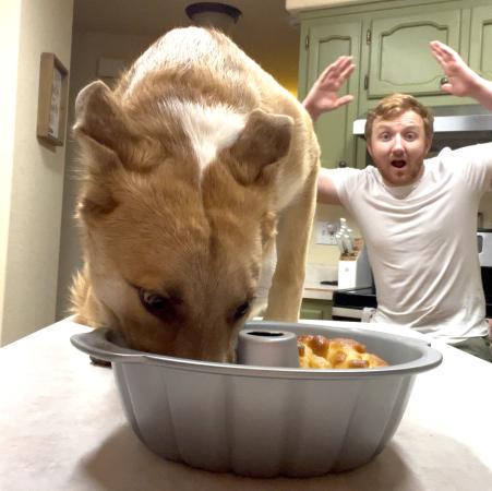 Mason's Monkey Bread Recipe