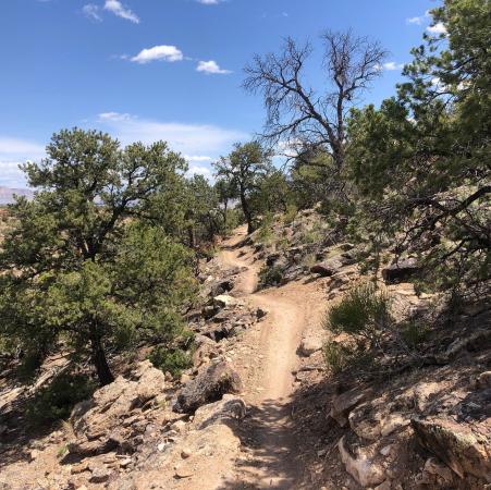Windmill Trail