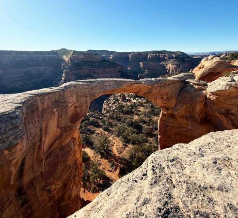 View of Rattlesnake Arches