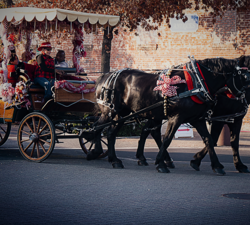 individuals riding Christmas decorated horse carriage