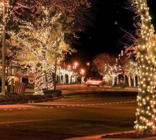 Holiday Lights in Yountville