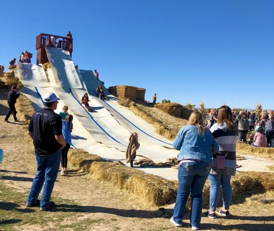 Kids on Slide at Studt's Pumpkin Patch & Cornmaze