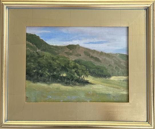 Hillside Highway - Cuchara River Ranch by John Edwards