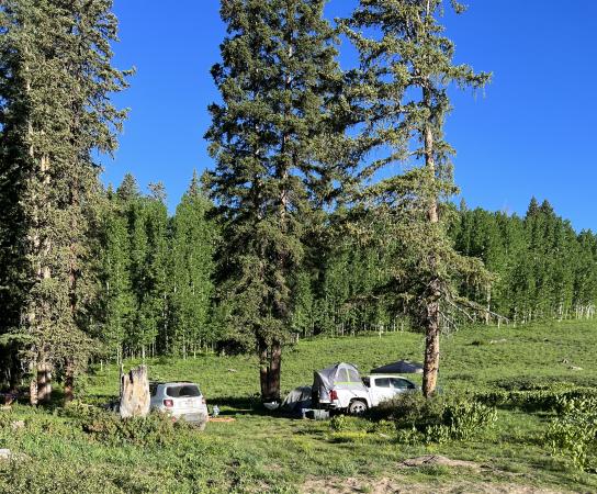 Camping on Grand Mesa