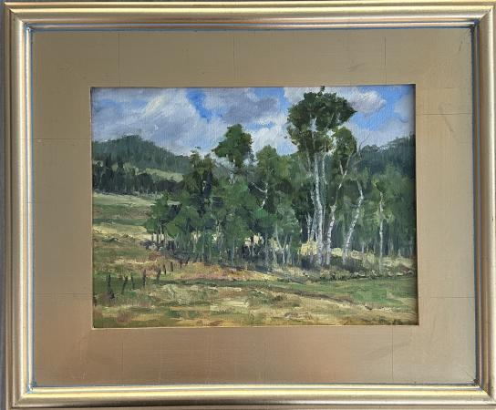 Lake Creek Aspens - Edwards, CO