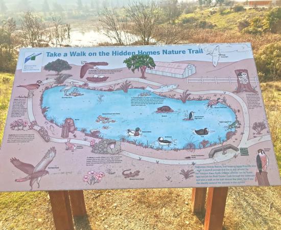 Hidden Homes Nature Trail interpretive map