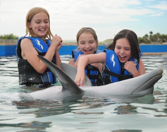 Marineland Dolphin Adventure