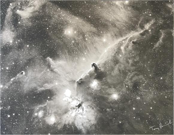 Beauty Near the Belt By Terry Hancock