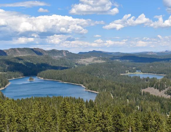 Grand Mesa Scenic Overlook