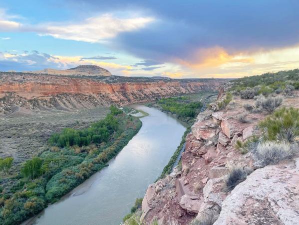 View of the Colorado River with Colorado National Monument in the Background
