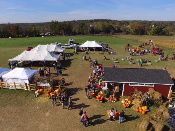 Froehlich's Farm & Garden