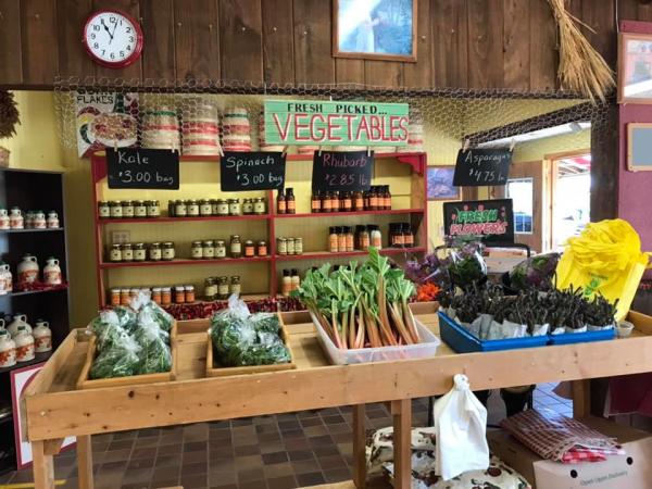 Interior of Morgan's Half Acre Produce Shop