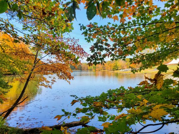 View of the lake through leaves that are changing color at the Mount Saint Francis Sanctuary