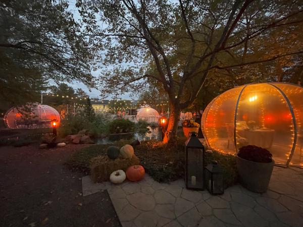 Autumn Lights event at the Cherry Valley Hotel