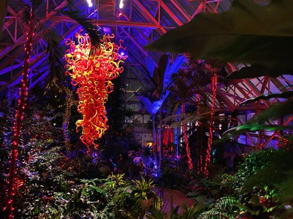 Franklin Park Conservatory at Night