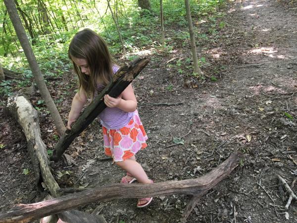 Blendon Woods Natural Play Area