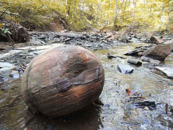 Highbanks Metro Park