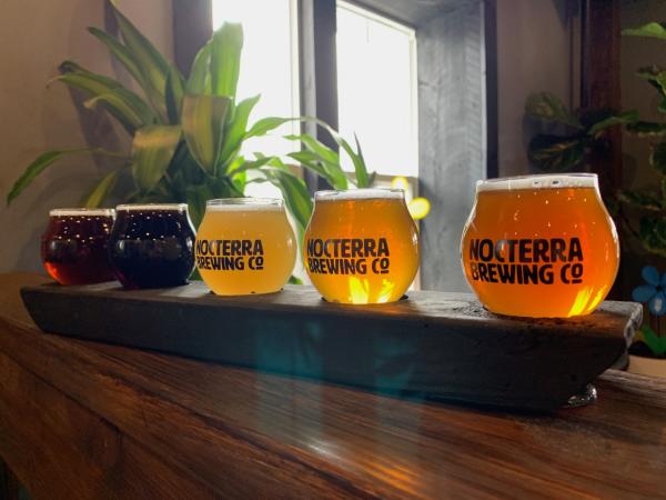 Flight of different colored beers on wooden counter at Nocterra Brewing