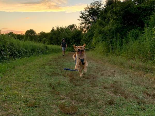 GCSC staffer Erica Cornell dog Ellie at Highbanks Metro Park