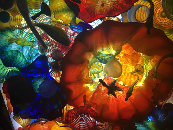 A chihuly glass ceiling at the Franklin Park Conservatory and Botanical Gardens