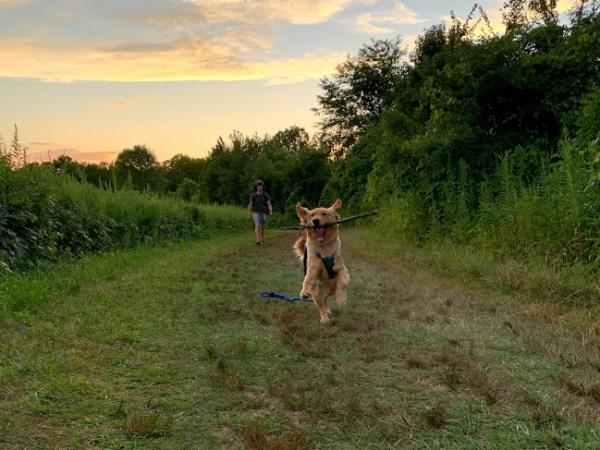 GCSC staffer Erica Cornell dog Ellie at Highbanks Metro Park