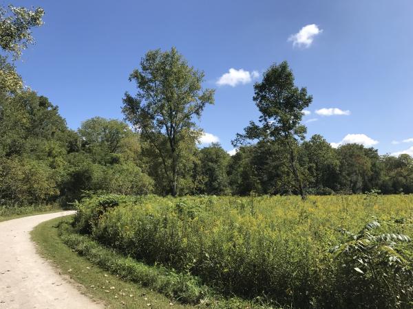 Path and green field, trees at Three Creeks Metro Park