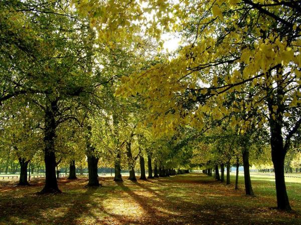 Coventry Parks