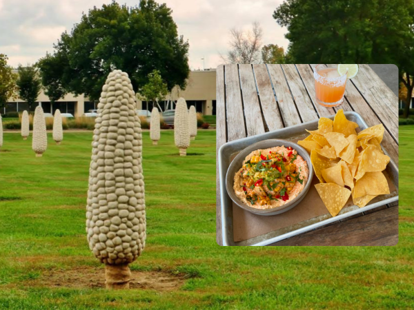 Field of Corn and Street Corn