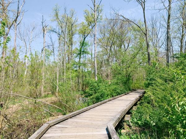 Kiwanis Riverway Park - Spring